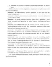 Novatoriškas verslas 4 puslapis