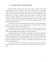 Novatoriškas verslas 6 puslapis