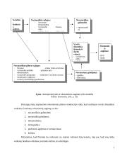 Novatoriškas verslas 7 puslapis