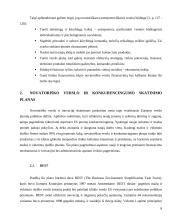 Novatoriškas verslas 8 puslapis