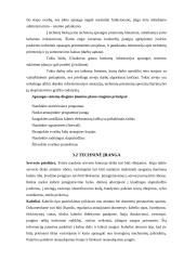 Internetinio ryšio apsaugos serveris 12 puslapis