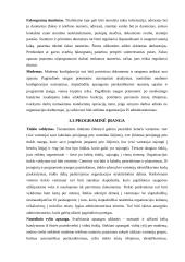 Internetinio ryšio apsaugos serveris 13 puslapis