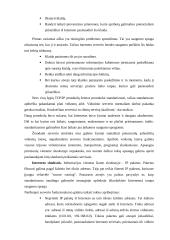 Internetinio ryšio apsaugos serveris 3 puslapis