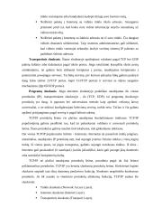 Internetinio ryšio apsaugos serveris 4 puslapis