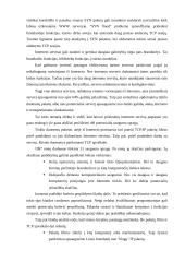 Internetinio ryšio apsaugos serveris 7 puslapis