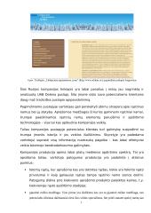 Internetinių puslapių analizė: medinių namų gamyba UAB "Dolena", "Сибирские деревянные дома" ir "Cyprus Timber Houses" 11 puslapis