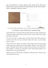 Internetinių puslapių analizė: medinių namų gamyba UAB "Dolena", "Сибирские деревянные дома" ir "Cyprus Timber Houses" 14 puslapis