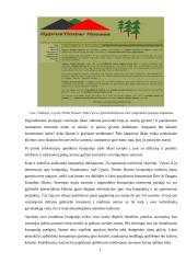 Internetinių puslapių analizė: medinių namų gamyba UAB "Dolena", "Сибирские деревянные дома" ir "Cyprus Timber Houses" 15 puslapis