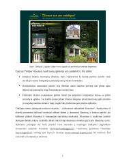 Internetinių puslapių analizė: medinių namų gamyba UAB "Dolena", "Сибирские деревянные дома" ir "Cyprus Timber Houses" 17 puslapis