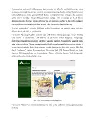Internetinių puslapių analizė: medinių namų gamyba UAB "Dolena", "Сибирские деревянные дома" ir "Cyprus Timber Houses" 7 puslapis