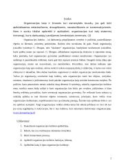 Organizacijų kultūra 2 puslapis
