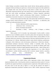 Organizacijų kultūra 11 puslapis
