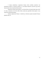 Organizacijų kultūra 13 puslapis