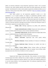 Organizacijų kultūra 5 puslapis