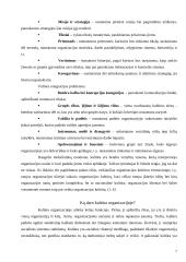 Organizacijų kultūra 7 puslapis
