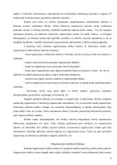 Organizacijų kultūra 8 puslapis