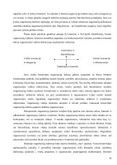 Organizacijų kultūra 10 puslapis