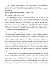 Įstatymų leidybos procesas Lietuvos Respublikoje (LR) 19 puslapis