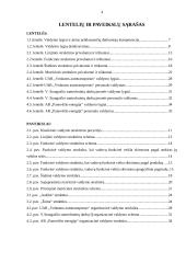 Organizacinės valdymo struktūros verslo įmonėje 3 puslapis