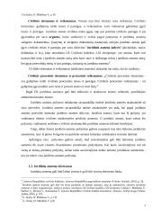 Juridiniai asmenys, jų rūšys ir steigimas 5 puslapis