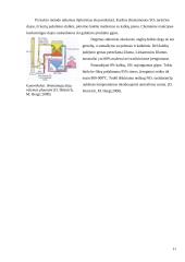 Oro teršimas 11 puslapis