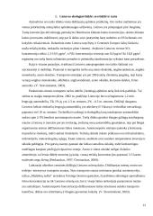 Oro teršimas 12 puslapis