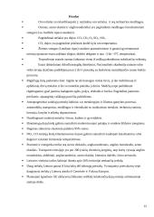 Oro teršimas 15 puslapis