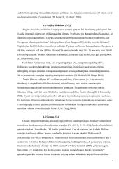 Oro teršimas 4 puslapis