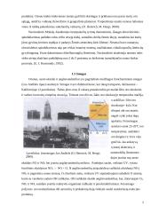 Oro teršimas 5 puslapis