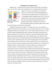 Oro teršimas 7 puslapis