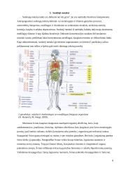 Oro teršimas 8 puslapis