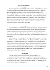 Oro teršimas 10 puslapis