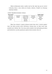 Kainodara. Kainodaros organizavimas UAB "Rytlangis" 13 puslapis