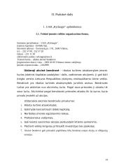 Kainodara. Kainodaros organizavimas UAB "Rytlangis" 14 puslapis