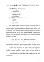 Kainodara. Kainodaros organizavimas UAB "Rytlangis" 16 puslapis