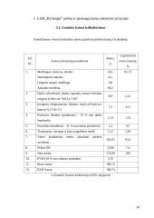 Kainodara. Kainodaros organizavimas UAB "Rytlangis" 18 puslapis