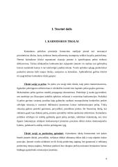 Kainodara. Kainodaros organizavimas UAB "Rytlangis" 4 puslapis