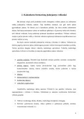 Kainodara. Kainodaros organizavimas UAB "Rytlangis" 6 puslapis