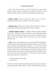 Kainodara. Kainodaros organizavimas UAB "Rytlangis" 7 puslapis