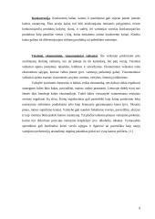 Kainodara. Kainodaros organizavimas UAB "Rytlangis" 9 puslapis