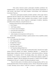 Kainodaros organizavimas įmonėje "Ūrus ir Ko" 19 puslapis