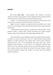 Kainodaros organizavimas įmonėje "Ūrus ir Ko" 3 puslapis