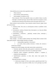 Kainodaros organizavimas įmonėje "Ūrus ir Ko" 6 puslapis