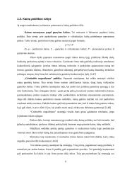 Kainodaros organizavimas įmonėje "Ūrus ir Ko" 8 puslapis