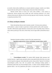 Kainodaros organizavimas įmonėje "Ūrus ir Ko" 10 puslapis