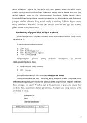 Pajamų apskaita 15 puslapis