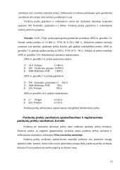 Pajamų apskaita 19 puslapis