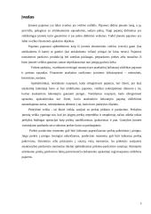 Pajamų apskaita 3 puslapis