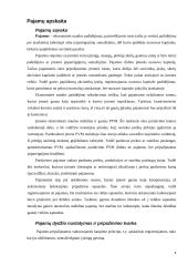 Pajamų apskaita 4 puslapis