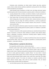 Pajamų apskaita 6 puslapis